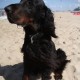 2012-07-29 RRS Holland Hundestrand_023