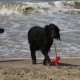 2012-07-29 RRS Holland Hundestrand_103