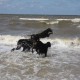 2012-07-29 RRS Holland Hundestrand_123