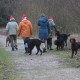 RRS_Fotogalerien_2012-12-16_Weihnachtsspaziergang067