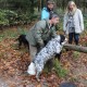 RRS_Fotogalerien_2013-11-03_Wald-Agility057